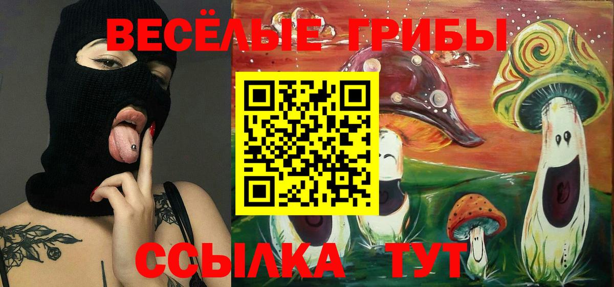 Псилоцибиновые грибы Psilocybine cubensis  Вход с VPN  Анжеро-Судженск 