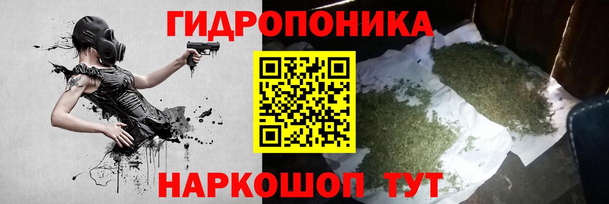 Бошки Шишки планчик  Бошки Шишки индика  Канабис OG Kush  Анжеро-Судженск  Марихуана Bruce Banner  Вход с VPN 